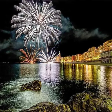 Attico Spettacolare Vista Mare Camogli